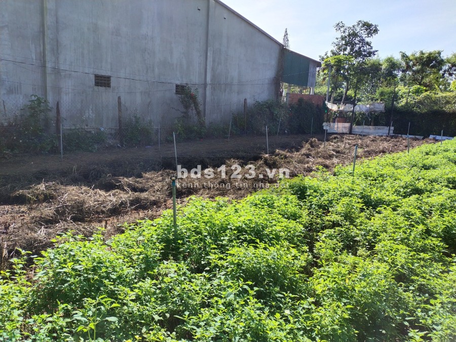 Bán đất chính chủ 10x22 m gần ngã 3 Duy Hòa TP Buôn Ma Thuột