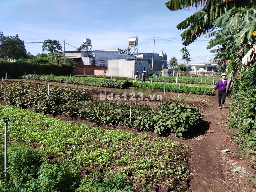 Bán đất chính chủ 10x22 m gần ngã 3 Duy Hòa TP Buôn Ma Thuột