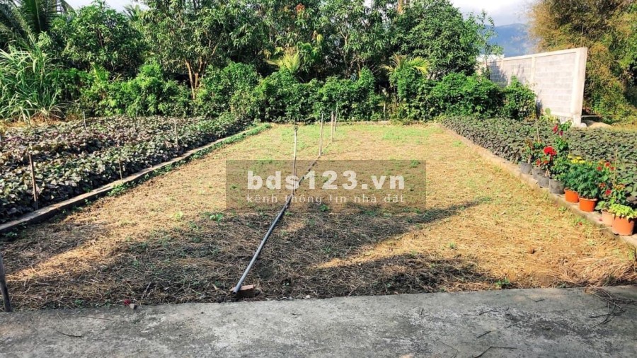 Bán đất thổ cư - xã Diên Sơn - Diên Khánh pháp lý đầy đủ, vị trí đắc địa, đầu tư sinh lời