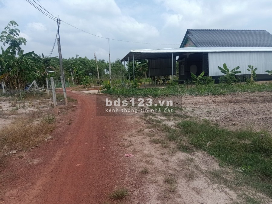 Bán đất giá rẻ Minh Thạnh Dầu Tiếng diện tích sử dụng 10x37 thổ cư 100%, pháp lý chuẩn