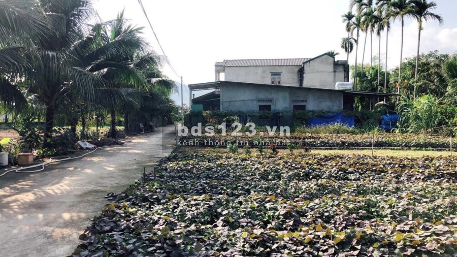 Bán đất thổ cư - xã Diên Sơn - Diên Khánh pháp lý đầy đủ, vị trí đắc địa, đầu tư sinh lời