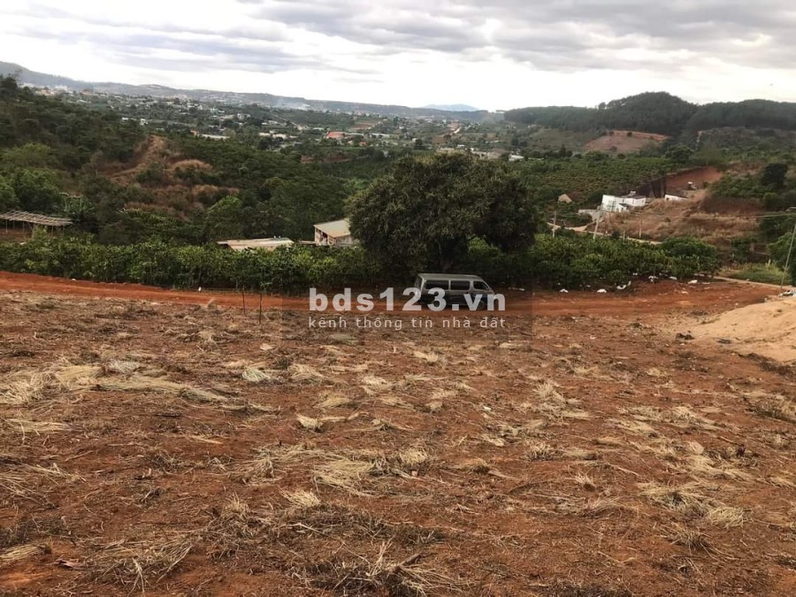 Bán 17000m2 đất 2 Mt- Trung tâm thị trấn nam ban giá đầu tư sinh lời, bàn giao đủ giấy tờ