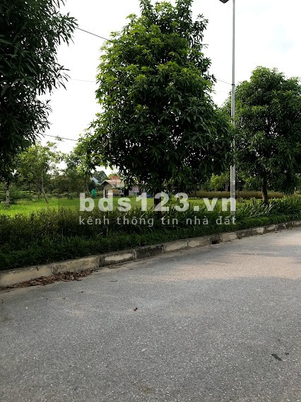 LÔ BIỆT THỰ HOT MẶT VƯỜN HOA KHU A NEW CITY PHỐ NỐI