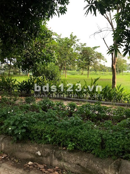 LÔ BIỆT THỰ HOT MẶT VƯỜN HOA KHU A NEW CITY PHỐ NỐI
