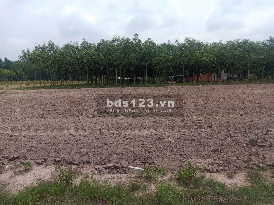 Bán đất giá rẻ Minh Thạnh Dầu Tiếng diện tích sử dụng 10x37 thổ cư 100%, pháp lý chuẩn
