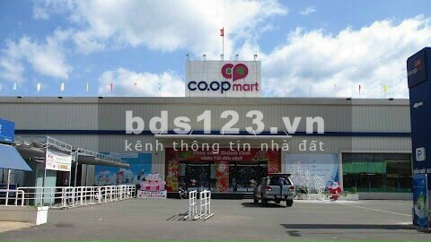 Chính chủ cần bán gấp đất giá rẻ tại thị trấn Tân Phú, Đồng Phú, Bình Phước, giá đầu tư