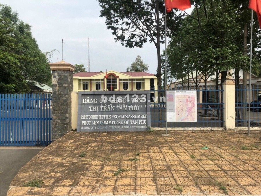 Chính chủ cần bán gấp đất giá rẻ tại thị trấn Tân Phú, Đồng Phú, Bình Phước, giá đầu tư