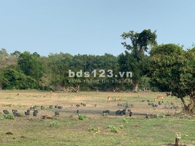 Đất vườn quy hoạch thổ cách đường liên huyện chỉ 300m, sổ sẵn sàng sang tên ngay