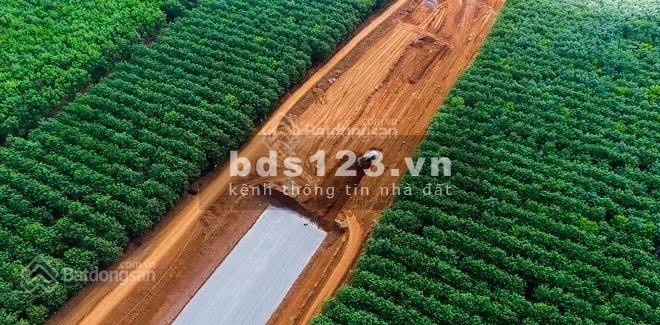 Đất vườn quy hoạch thổ cách đường liên huyện chỉ 300m, sổ sẵn sàng sang tên ngay