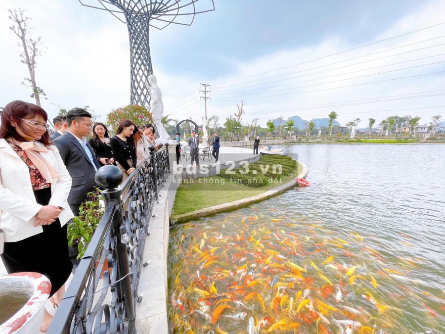 Khu đô thị dự án Danko city tp Thái Nguyên giá bán 32 triệu/m2, giá tốt đầu tư sinh lời