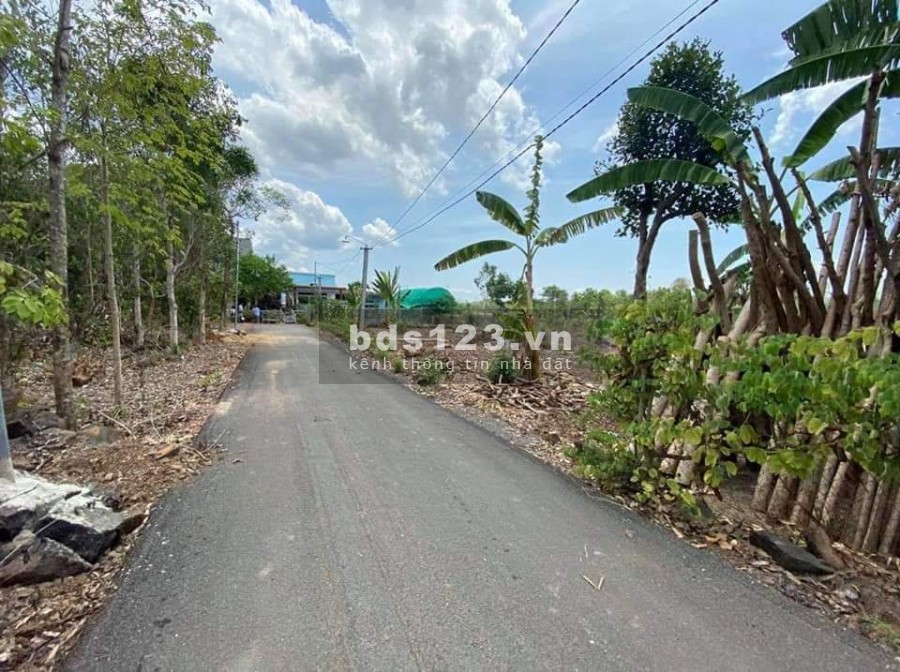 Đất đường nhựa diện tích sử dụng (577m2,30×21/)Vĩnh An, Vĩnh Cửu khu dân cư đông đúc