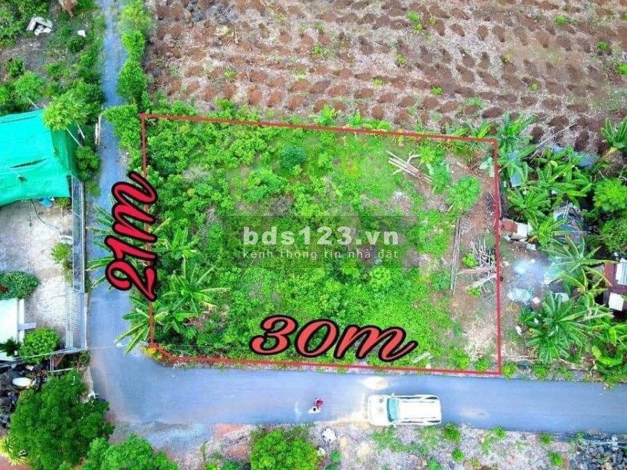 Đất đường nhựa diện tích sử dụng (577m2,30×21/)Vĩnh An, Vĩnh Cửu khu dân cư đông đúc