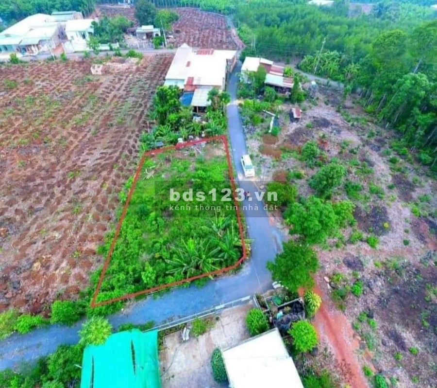Đất đường nhựa diện tích sử dụng (577m2,30×21/)Vĩnh An, Vĩnh Cửu khu dân cư đông đúc