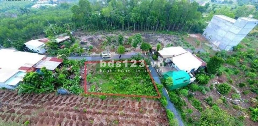 Đất đường nhựa diện tích sử dụng (577m2,30×21/)Vĩnh An, Vĩnh Cửu khu dân cư đông đúc