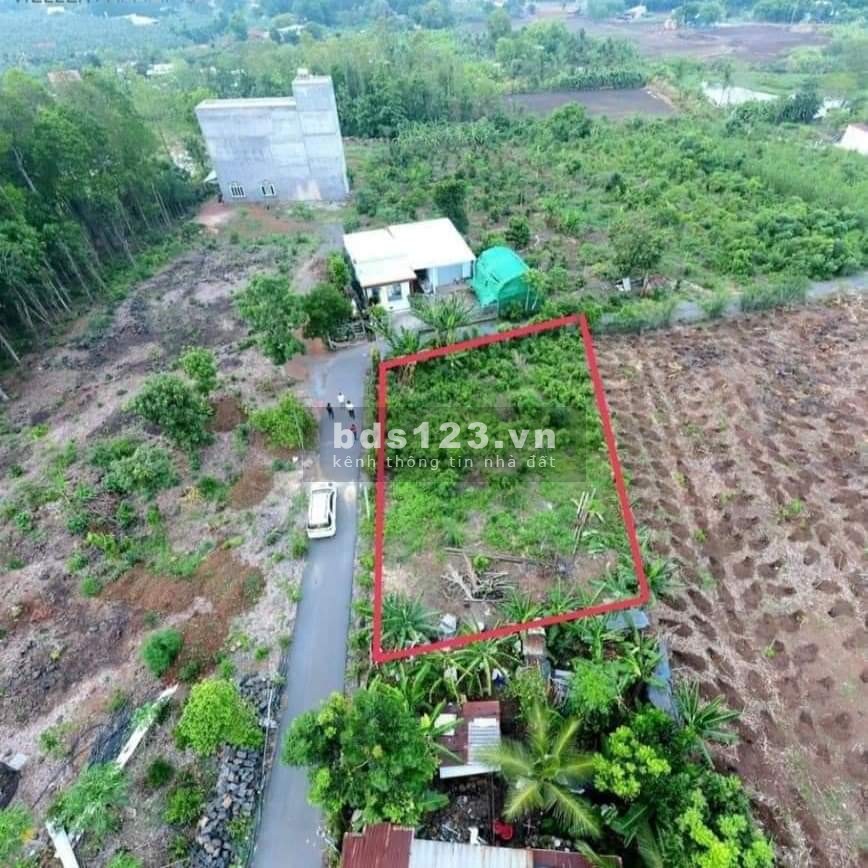 Đất đường nhựa diện tích sử dụng (577m2,30×21/)Vĩnh An, Vĩnh Cửu khu dân cư đông đúc