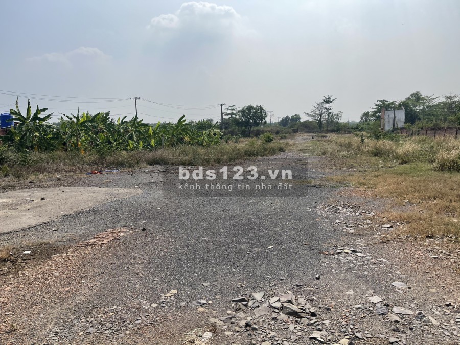 Cho thuê bãi đất trống dtsd 6.500m2 MT Nguyễn Xiển, Long Trường, Quận 9, TP.HCM