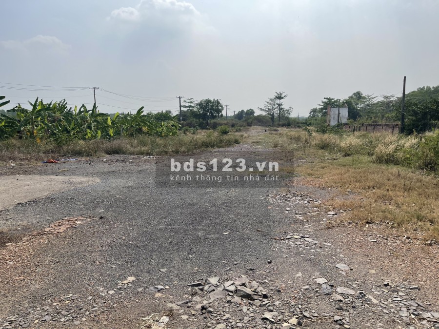 Cho thuê bãi đất trống dtsd 6.500m2 MT Nguyễn Xiển, Long Trường, Quận 9, TP.HCM