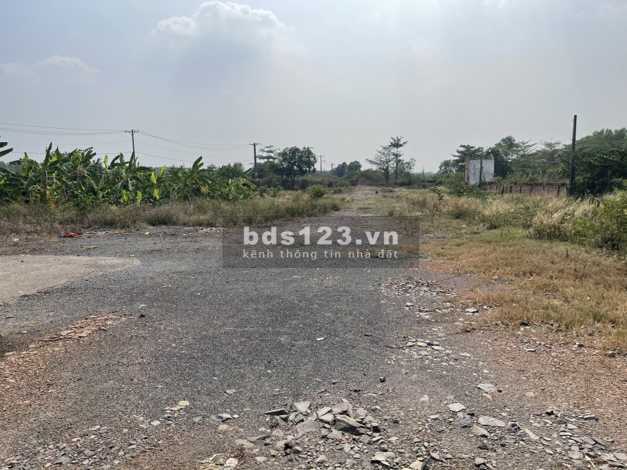 Cho thuê bãi đất trống dtsd 6.500m2 MT Nguyễn Xiển, Long Trường, Quận 9, TP.HCM