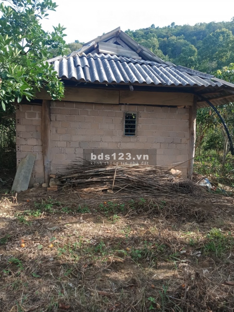 Chính chủ bán gấp 6200M2 mảnh đất ngay đường QL43 đi cửa khẩu Lóng Sập Mộc Châu