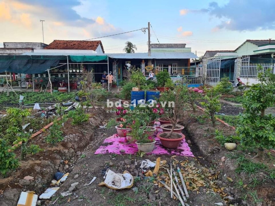 Bán đất Dự án Sở Văn hóa Thông tin, bán nhà vườn Tân Trụ Long An, bán đất nền Tân Trụ Long An