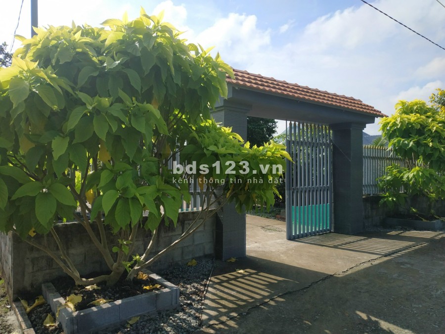 Bán đất Dự án Sở Văn hóa Thông tin, bán nhà vườn Tân Trụ Long An, bán đất nền Tân Trụ Long An