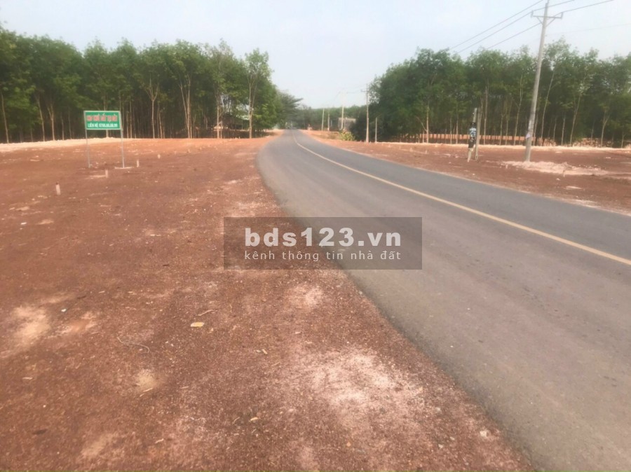 Bán gấp 2 lô đất sào dt 5×40 sổ sẵn công chứng sang tên ngay