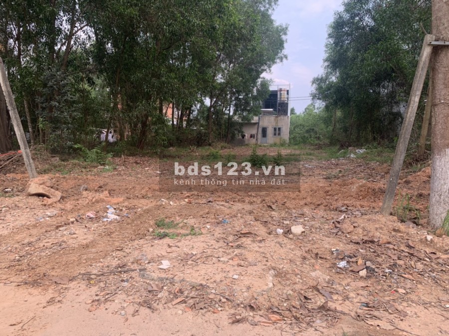 Tôi có vài mảnh đất sào có sổ sẵn đường nhựa cần bán giá đầu tư 265TR - 530TR/SÀO