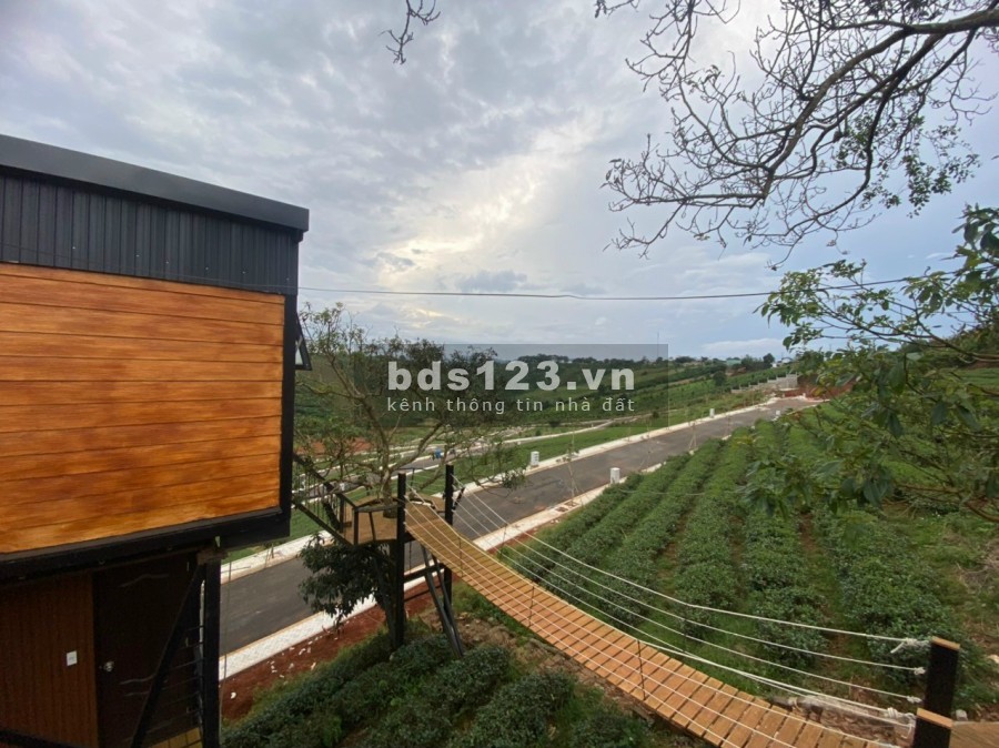 Có 300tr sở hữu ngay đất chính chủ đối diện đồi chè Tâm Châu, Full thổ cư, có ngân hàng cho vay 70%