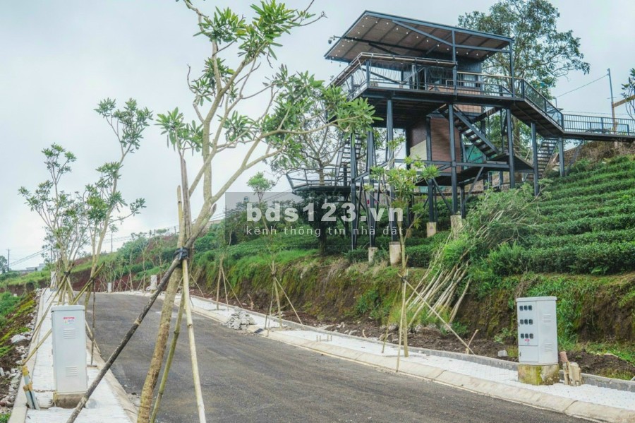 Có 300tr sở hữu ngay đất chính chủ đối diện đồi chè Tâm Châu, Full thổ cư, có ngân hàng cho vay 70%