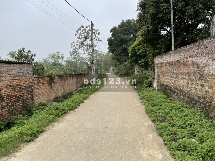 Bán đất Hoàng Văn Thụ Chương Mỹ dt 920m có 300m đất ở, đất nở hậu sẵn nhà cấp 4 chỉ việc ở