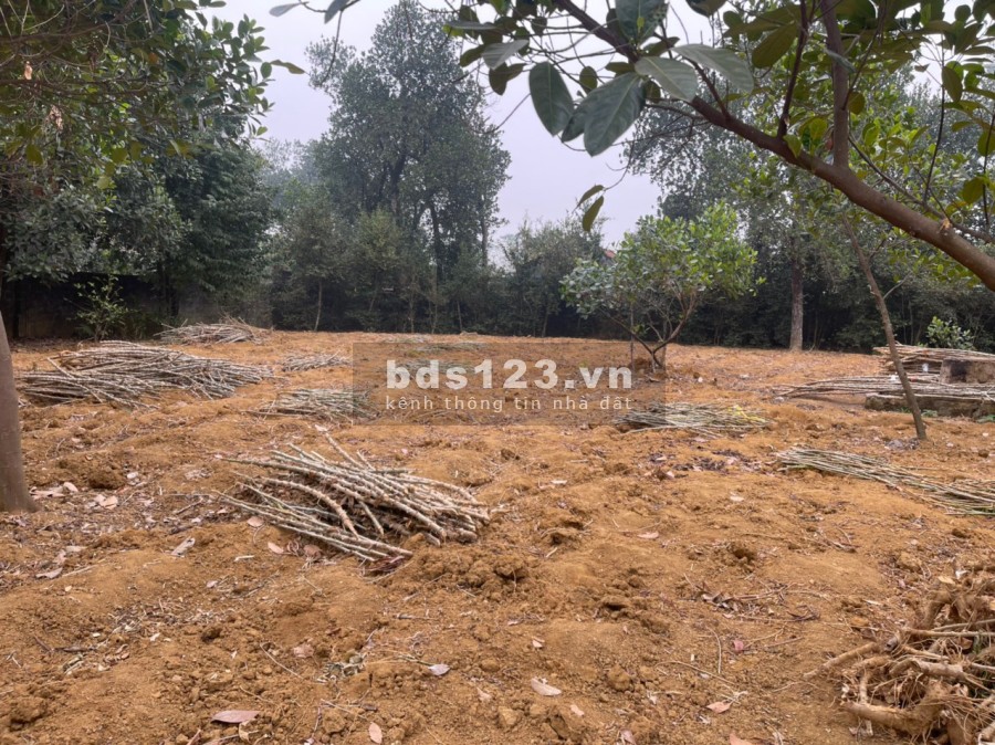 Bán đất Hoàng Văn Thụ Chương Mỹ dt 920m có 300m đất ở, đất nở hậu sẵn nhà cấp 4 chỉ việc ở