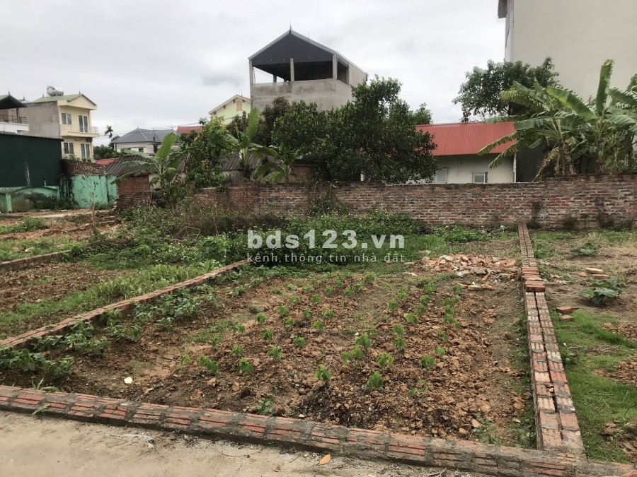 Chính chủ không qua môi giới bán 2 lô liền kề đất Bắc Thượng, đã có sổ riêng, khu an ninh