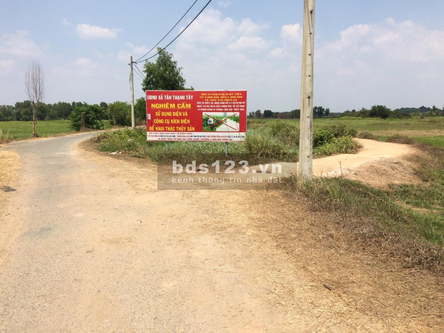 Nhà vườn xã Tân Thạnh Tây view kênh liên hệ giá tốt bao thoải mái, giấy tờ pháp lý đủ