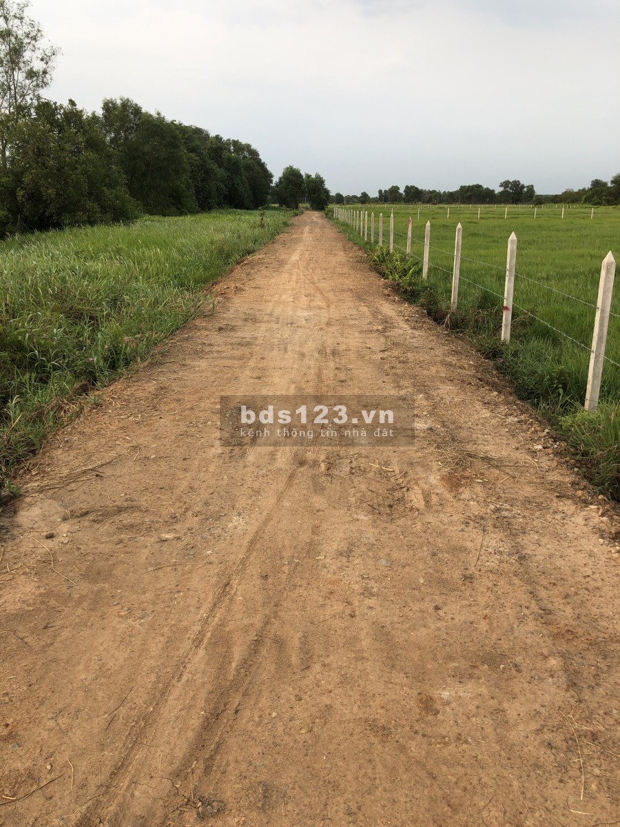 Nhà vườn xã Tân Thạnh Tây view kênh liên hệ giá tốt bao thoải mái, giấy tờ pháp lý đủ