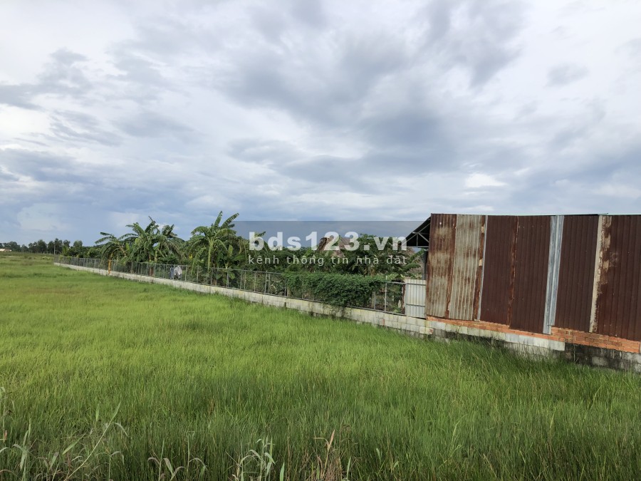 Nhà vườn xã Tân Thạnh Tây view kênh liên hệ giá tốt bao thoải mái, giấy tờ pháp lý đủ
