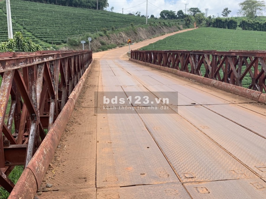 Cần bán 10Ha đất ngay Xóm Ông Châu, Bảo Lộc có tiềm năng vượt trội khi sở hữu.