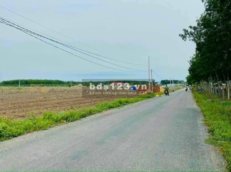 Cần tiền nuôi Bò nhượng lại 5.1 sào (5112m2) đất ngay KCN Becamex giá 550 triệu