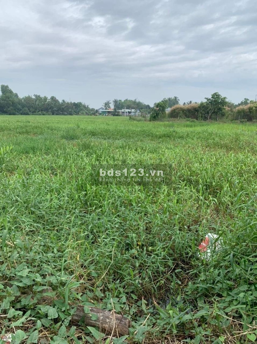 Đất chủ gửi, 1423m ² có 369m² thổ còn lại đất lúa.Mặc tiền 17,7m dài 80m