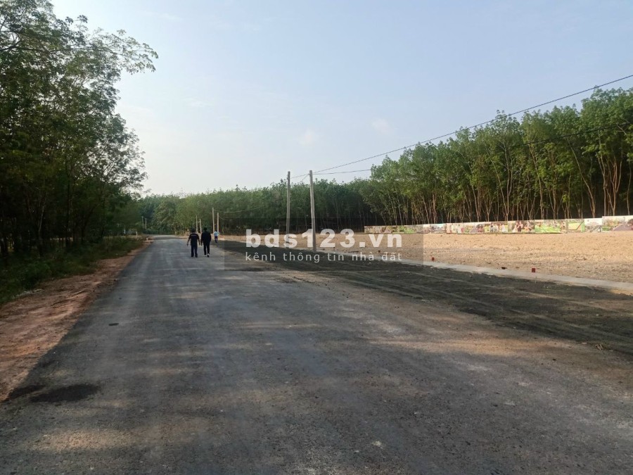 Trục chính Liên xã Thuận Lợi Đồng Phú Qui Hoạch 32m hiện hữu 10m 5*50 thổ cư 100%