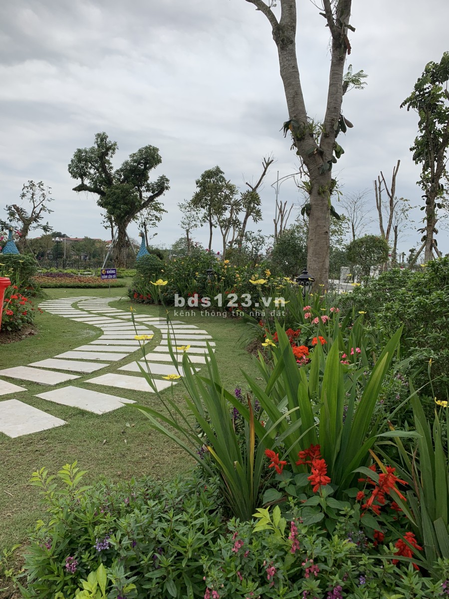 Đầu tư Danko City chỉ từ 1 tỉ 550 tr. Liên hệ 0397630291 để được hỗ trợ thêm về dự án
