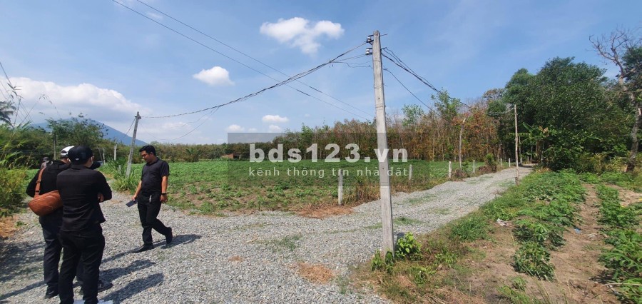 Dương Minh Châu hàng đang cực hiếm giá bán 370 triệu, pháp lý chính chủ, giá tốt