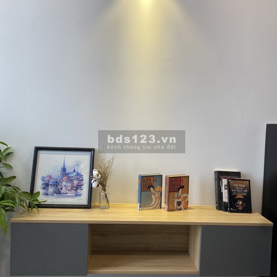 Cho thuê căn hộ dịch vụ full nội thất đường Thích Quảng Đúc, bàn giao vào ở ngay