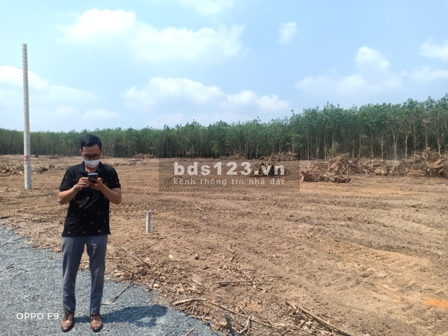 Chuyển nơi ở cần sang nhượng lại 5 sào đất liên hệ 0919197490 sổ hồng riêng, chính chủ