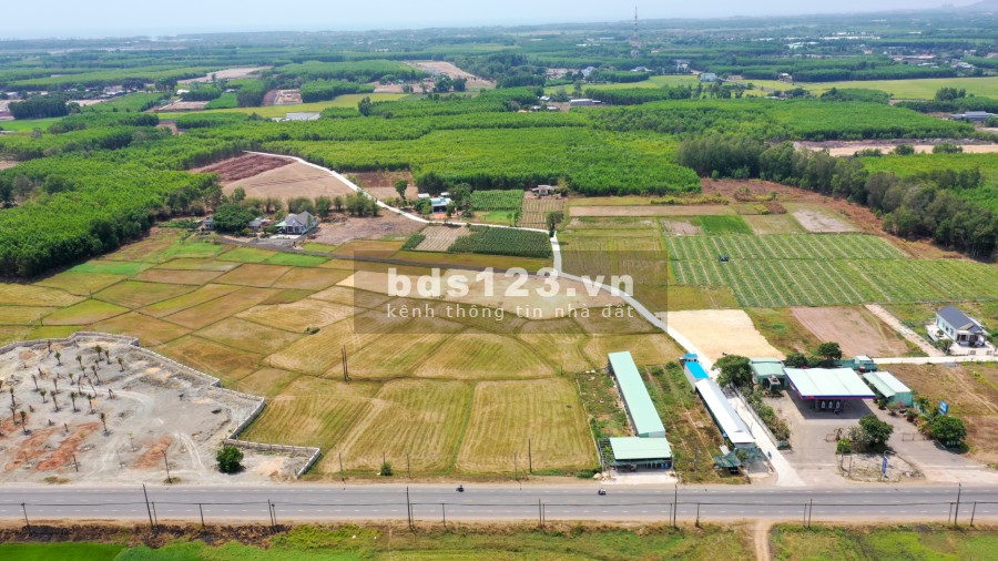 Ngộp cọc 2 lô đối diện khu công nghiệp Đất Đỏ - cách Quốc Lộ 55 chỉ 300m pháp lý chuẩn