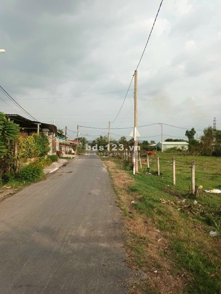 Đất vườn ngay chợ Trung Lập Thượng hơn 500m2 có SHR bao sang tên công chứng trong ngày