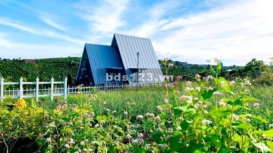 Bán đất nghỉ dưỡng the venica - bảo lộc, chỉ 360tr nhận nền, có shr, cách tt bảo lộc chỉ 10p đi xe