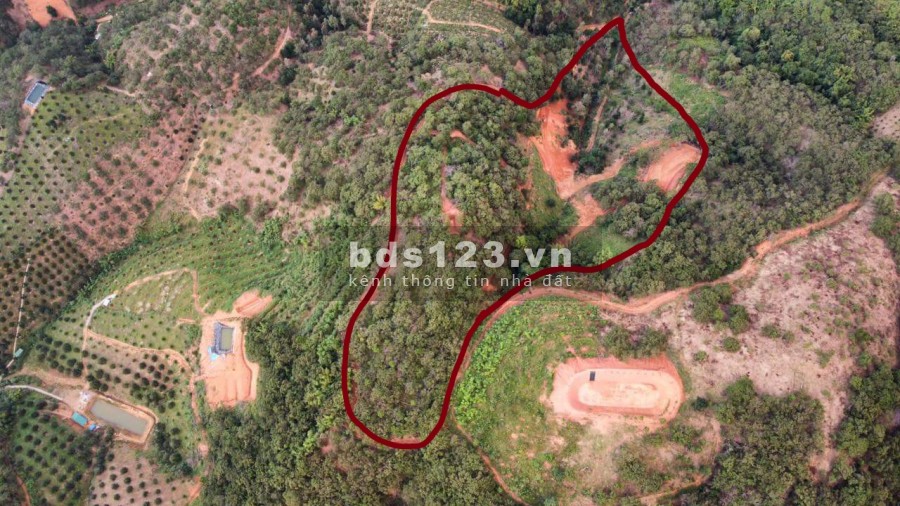 Cần bán 40.000m2 đất vườn dưới triền trên bằng sổ đỏ chính chủ, đường vào rộng