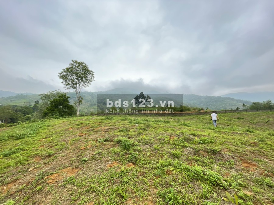 Bán siêu phẩm nghỉ dưỡng 3800m có tới 2000m đất ở tại Hợp Phong-Cao Phong -HB, 0982876689