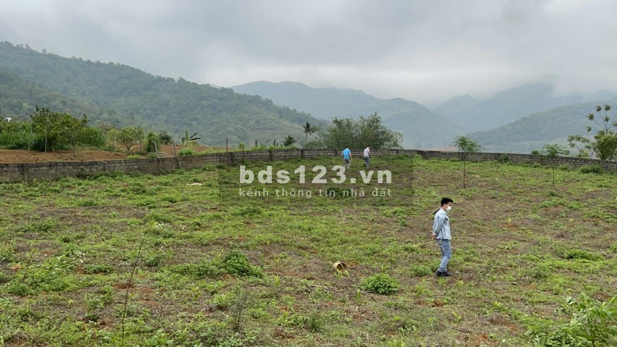 Bán siêu phẩm nghỉ dưỡng 3800m có tới 2000m đất ở tại Hợp Phong-Cao Phong -HB, 0982876689
