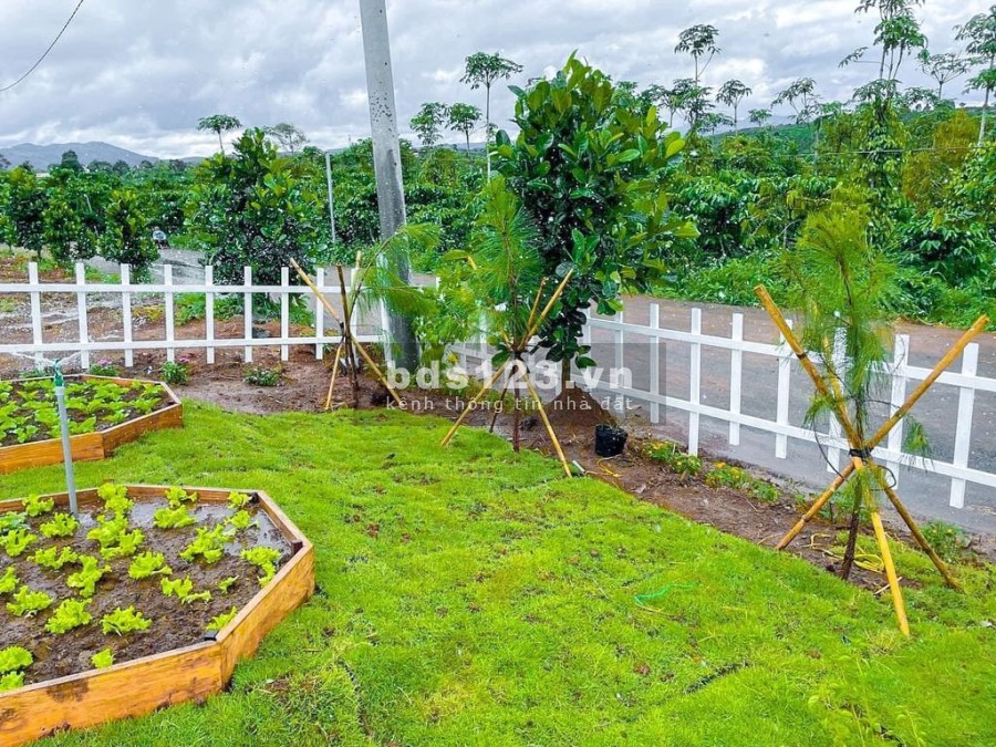 Cần bán lô đất tại làng sinh thái nghỉ dưỡng tại Bảo Lâm, chỉ 760 triệu/nền giá tốt